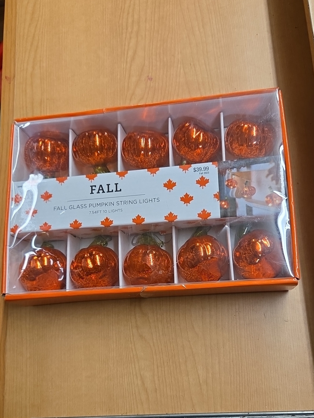 Fall Mercury Glass Pumpkin String Lights Indoor Battery On/Off NEW IN BOX